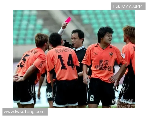 武汉羽毛球队配合排名创新高展现团队实力与竞技水平提升